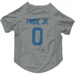 Indianapolis Colts Troy Pride Jr. Gray Pet Jersey for Dog & Cat