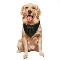 Indianapolis Colts Viliami Fehoko Jr. Black Service Pet Bandana for Dog & Cat