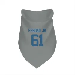 Indianapolis Colts Viliami Fehoko Jr. Gray Pet Bandana for Dog & Cat