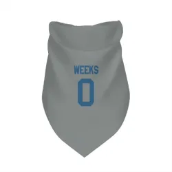 Indianapolis Colts West Weeks Gray Pet Bandana for Dog & Cat